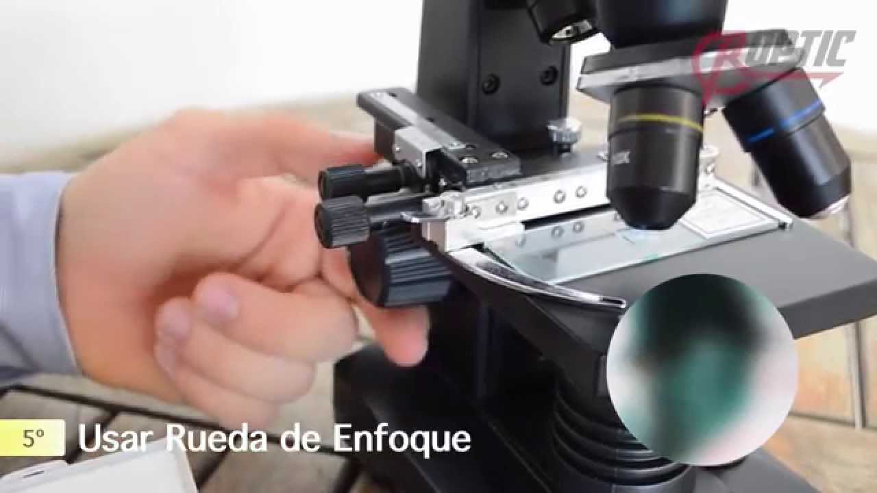 jardín Similar Campanilla Como usar un microscopio | Roptic - YouTube