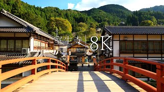 [Sacred place of the god of water] Visiting the female Koya Muroji Temple  Nara,JAPAN in 8K