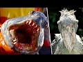 12 TERRIFYING Animals That Will Haunt Your Dreams