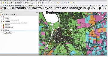 QGIS Tutorials 5 :How to Layer Filter And  Manage in QGIS | QGIS Beginners