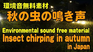 環境音無料素材「秋の虫の鳴き声」　Free environmental sound material "Crying of autumn insects"