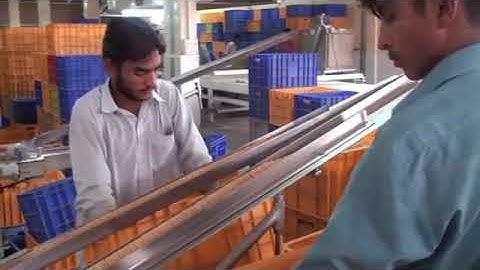 On Edge biscuit packing machine, high speed automatic slug pack