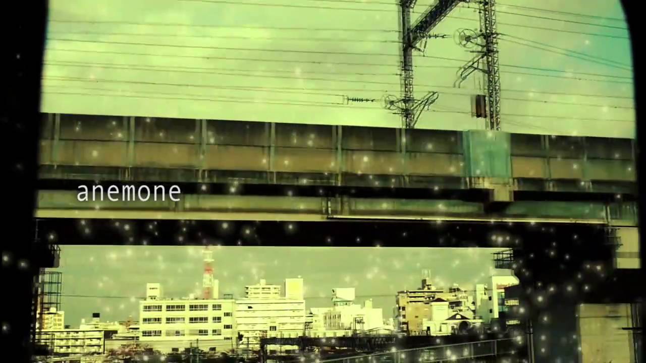 Chouchou Anemone Youtube