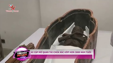Ai Cập mở quan tài chứa xác ướp hơn 3000 năm tuổi