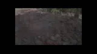 Küçük Kıyamet Kurtar Beni Anne