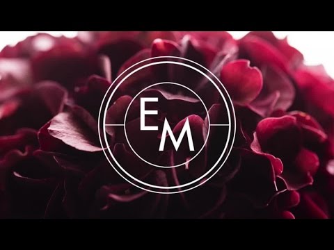 Fono - Everybody Knows Ft. Anna Straker