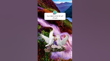 الله لا إله إلا الله هو الحي القيوم 💜⚘حالات واتس اب قرآن كريم بصوت جميل جدا 💜
