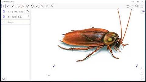 Moving object in GeoGebra: How to create animated object in GeoGebra?