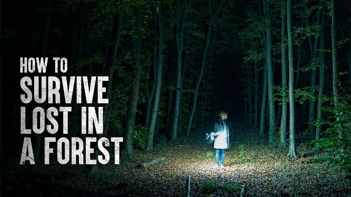 How to Survive Alone in the Forest