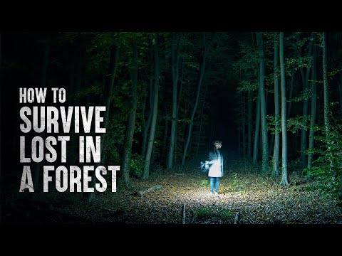 Video: How To Survive In The Forest