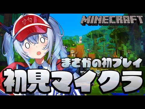 【Minecraft/マイクラ】この時代にまさかの初見マイクラです。何からやろう?【紙束ねるこ/すぺしゃりて】 video thumb