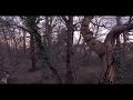 Zack knight - sanam re - whatsapp status 😍 Whatsapp Status Video Download Free