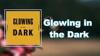 Django Django - Glowing in the Dark (Lyrics)