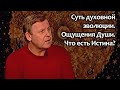 Суть духовной эволюции. Что есть Истина? Ощущения Души.