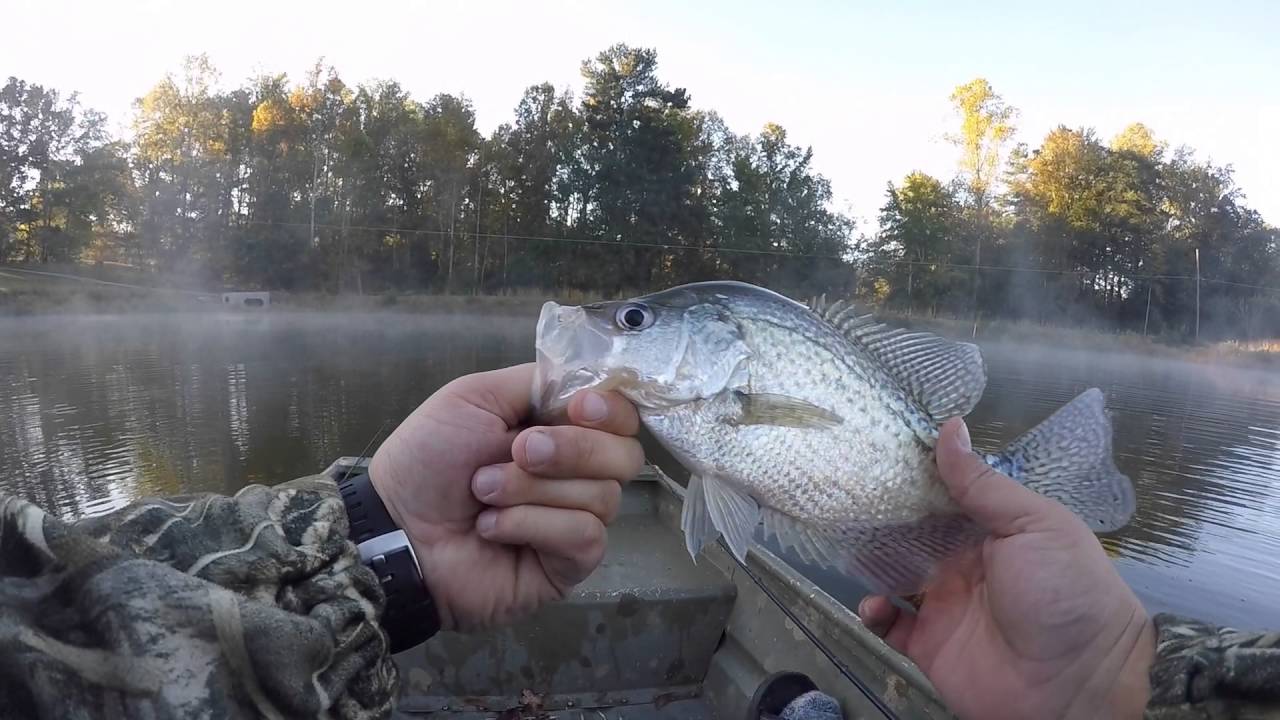 Fishing in North YouTube