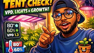 Inside the Grow Tent 👀 | What’s Thriving, What I’m Fixing