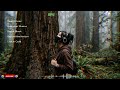 🌲 alan walker style music playlist 2026 ⚡ aether wave escape