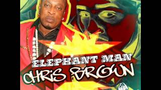 Elephant Man - Chris Brown | February 2014 | Energy God Productions