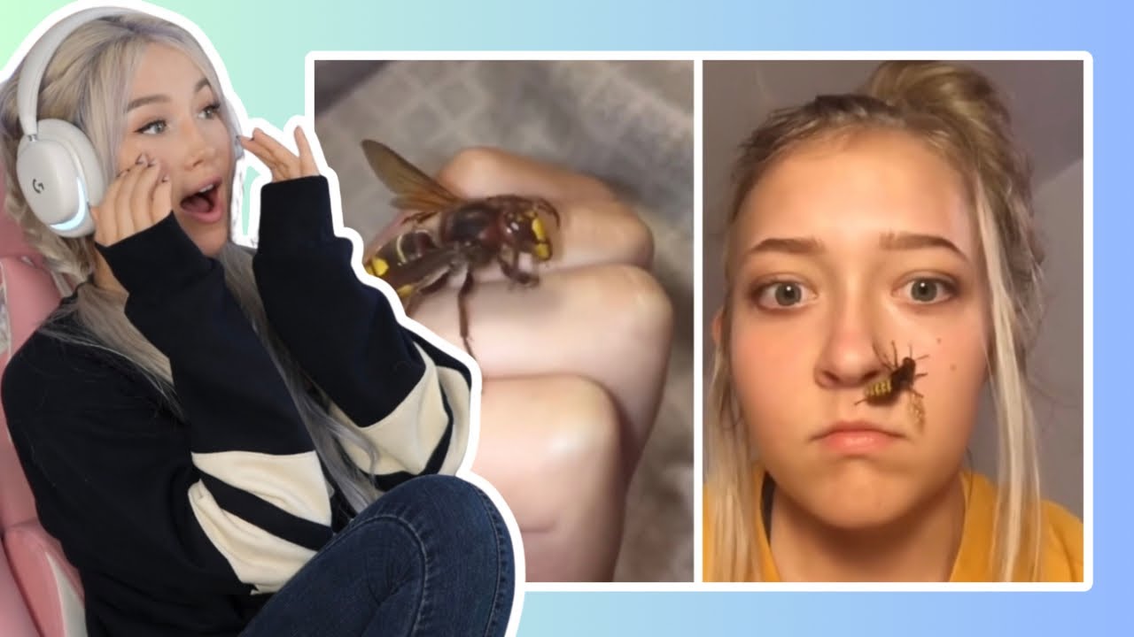 Funniest Internet Clips REACTION!!!