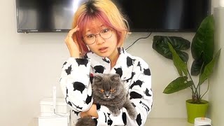 【ママ突撃！】寝起きにギョーザ100個は草…w