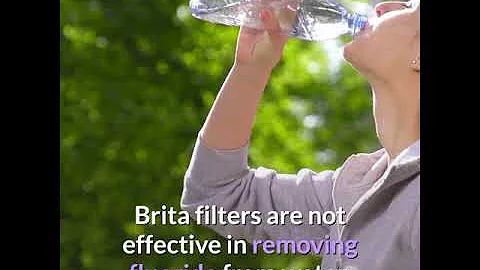 Do Brita water filters actually do anything?