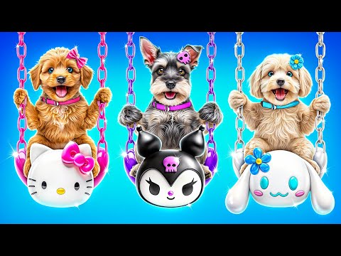 One Color Puppy House Challenge! Hello Kitty vs Kuromi vs Cinnamoroll