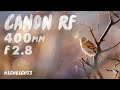 Canon RF 400mm f/2.8 Highlights with both Photo and Video samples
