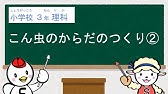 Dvd 小学校理科dvdシリーズ 3年 1 チョウを育てよう モンシロチョウの育ち Youtube