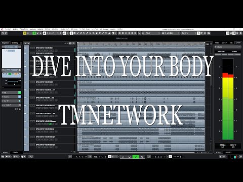 TMNETWORK DIVE INTO YOUR BODY inst