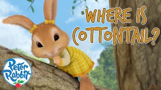 @OfficialPeterRabbit   Where Has Cottontail Gone?!   | Lost And Found | Compilation | Cartoons for Kids