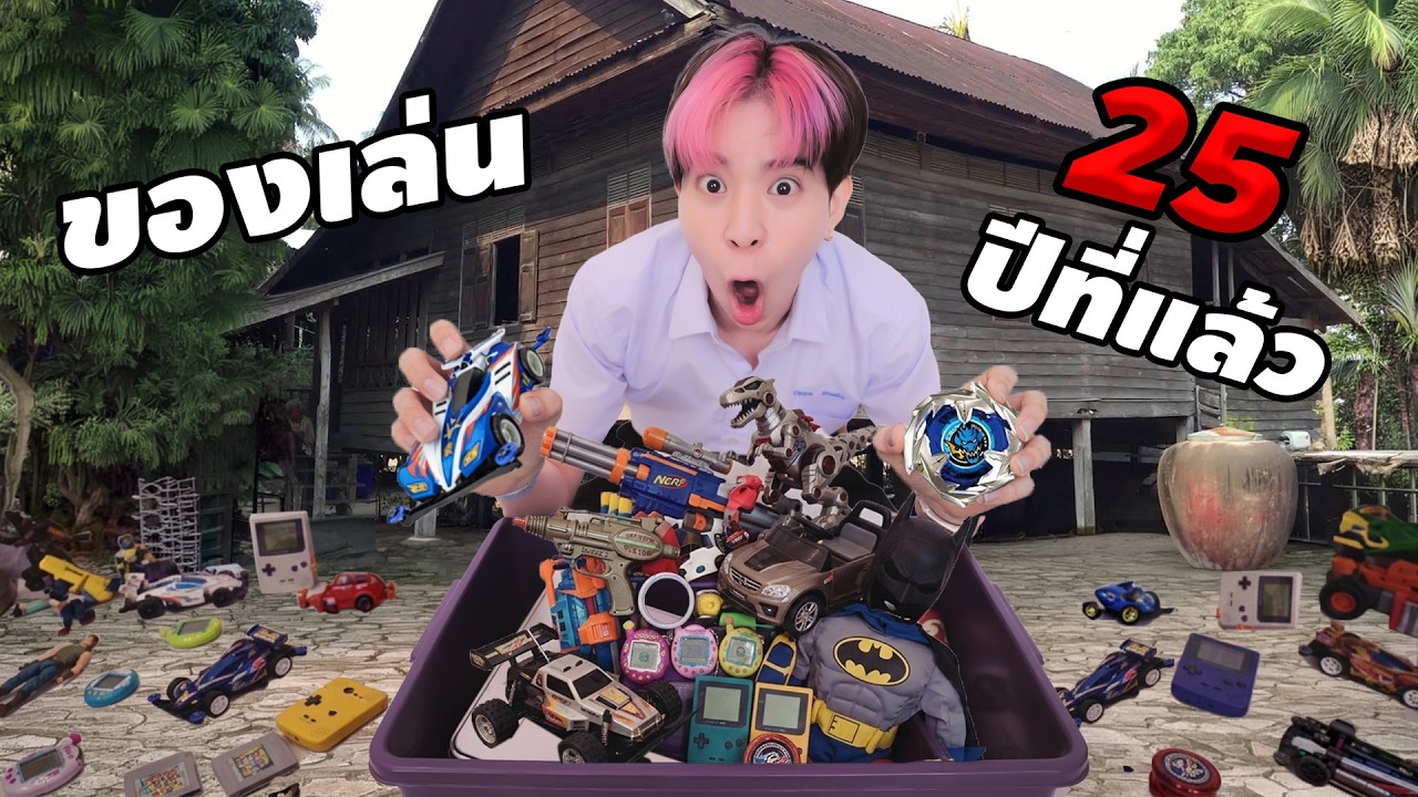 ของเล่นที่ผมมีตั้งแต่เกิด 25 ปี