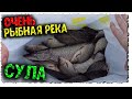 🔥Река Сула в Октябре/Погребняки/Рыбалка на джиг/Удочка с поплавком/Щука/Окунь/Карась/Плотва🔥