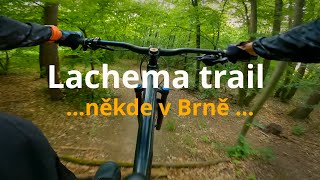 Lachema trail Brno - zábavný trail ve stínu Zamilce