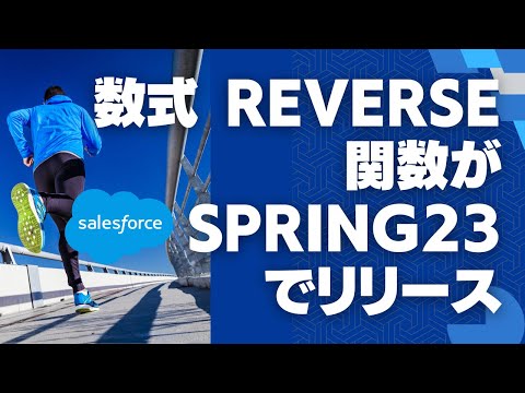 Salesforce 数式 Reverse関数がSpring23でリリース
