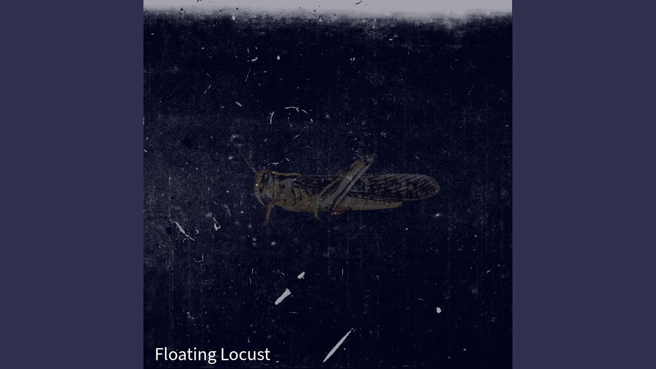 Floating Locust
