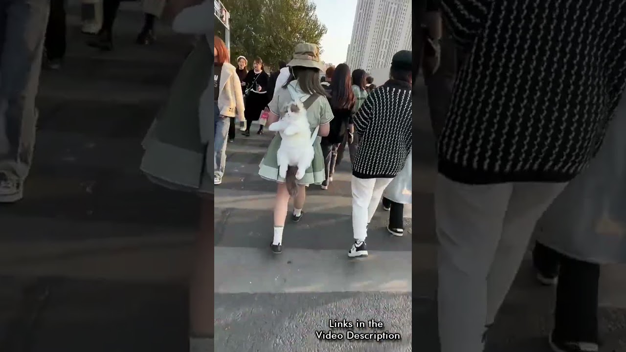 Chongker Cat Plush Backpack