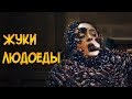 Жуки-Людоеды из сериала Доктор Кто (биология, питание, способности)