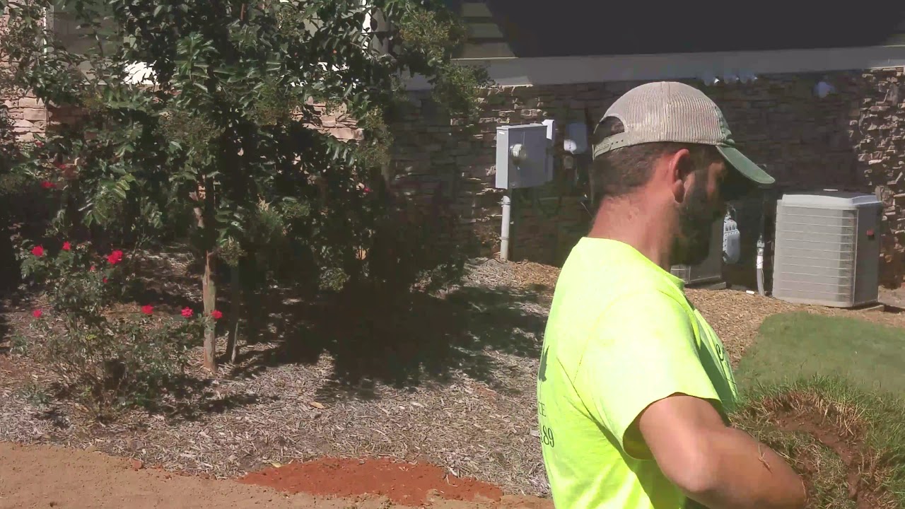 Install of Legacy Turf Farms bermuda Tifway 419