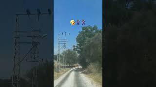 Senin Güzel Gözlerin Malı Mülkü Sattirir Resimi