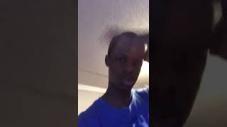 Kermit the frog voice impression