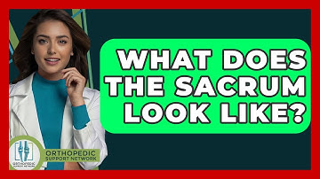 What Does The Sacrum Look Like? - Orthopedic Support Network