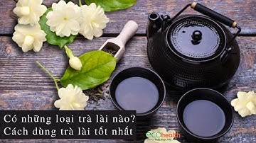 Có những loại trà lài nào? Cách dùng trà lài tốt nhất
