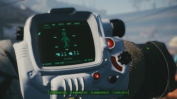 Fallout 4 Mods - White Pipboy Showcase