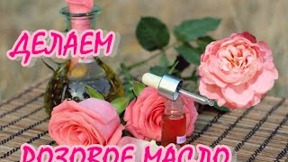 Эфирное масло розы: свойства, применение, отзывы Эфирное масло розы: свойства, применение, отзывы