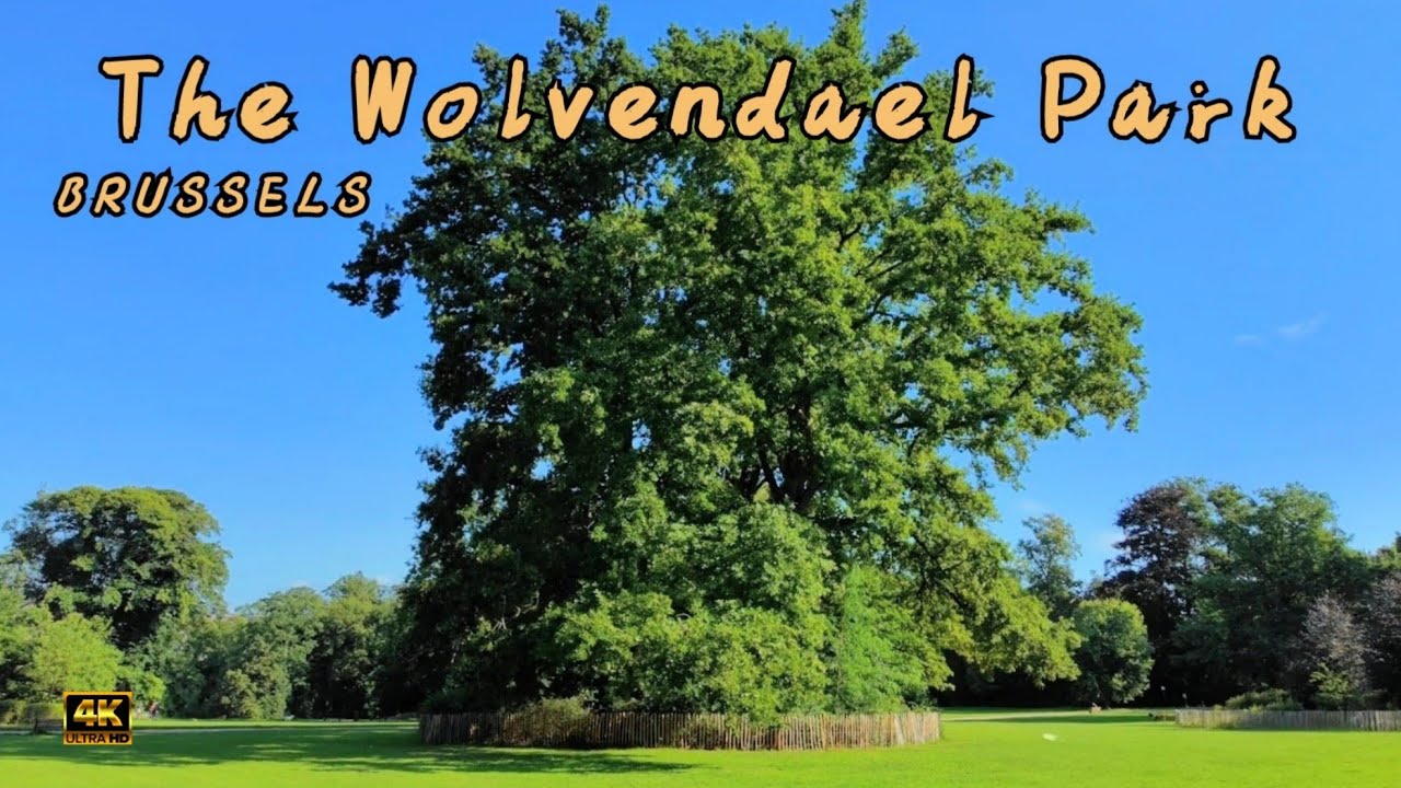 The Wolvendael Park 🇧🇪  Green Ambience in Brussels - 4K³⁰fps 