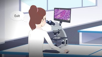 Meiji Techno America EDUWIFI Educational Cameras (5G WiFi Digital Microscope Interactive System)