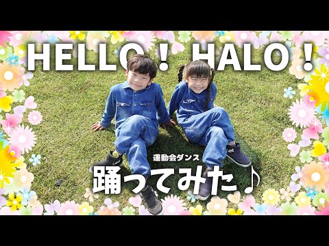 【運動会ダンス】 HELLO！ HALO！(ハロハロ) を踊ってみた♪【Eダンスアカデミー】