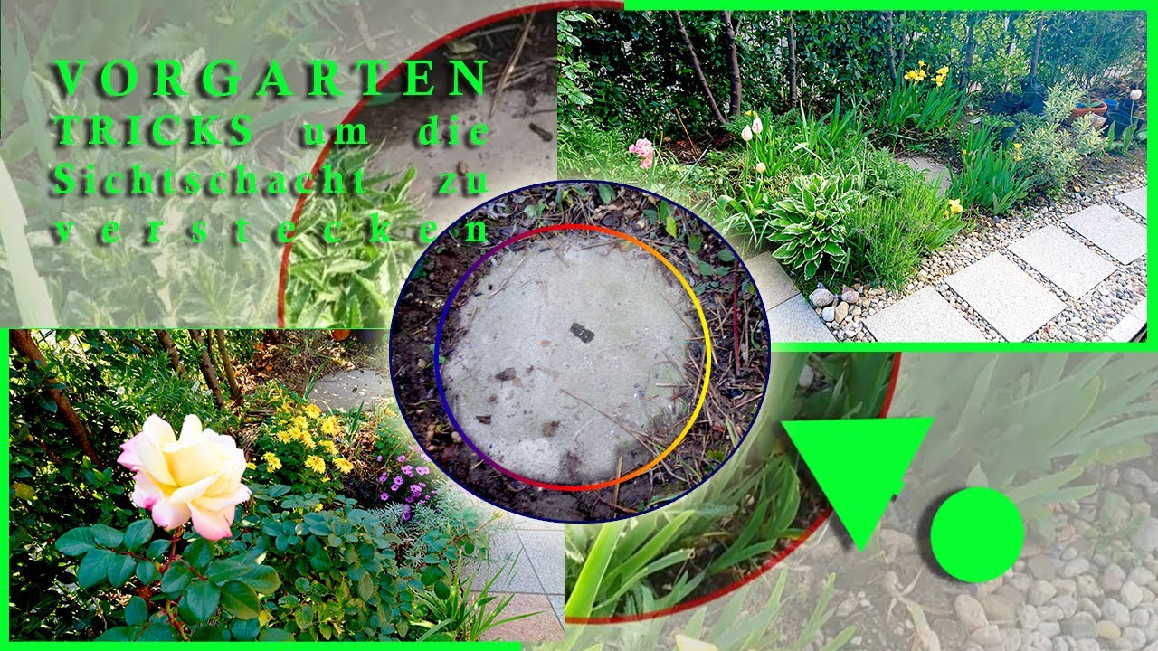 Schäden durch die Wurzeln Pflanzen am Haus und rund um ein