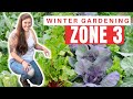 Planting a winter vegetable garden in a cold climate growing vegetables all year in canada
