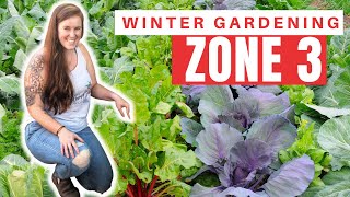 Planting A Winter Vegetable Garden In A Cold Climate. Growing Vegetables ALL Year In Canada